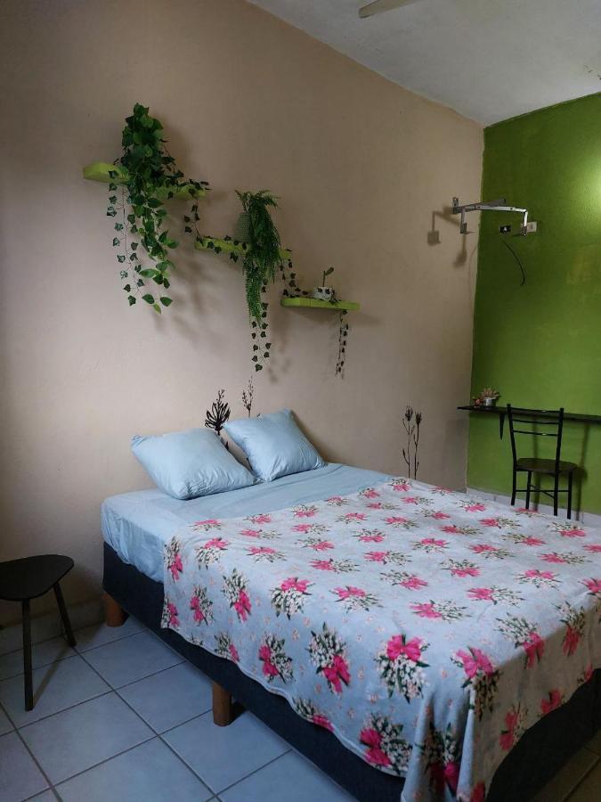 Cho Ku Rei Hostal San José del Cabo エクステリア 写真