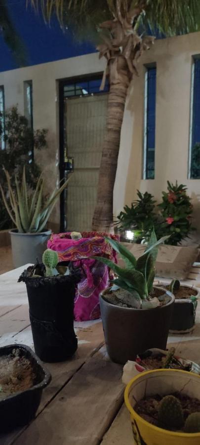 Cho Ku Rei Hostal San José del Cabo エクステリア 写真