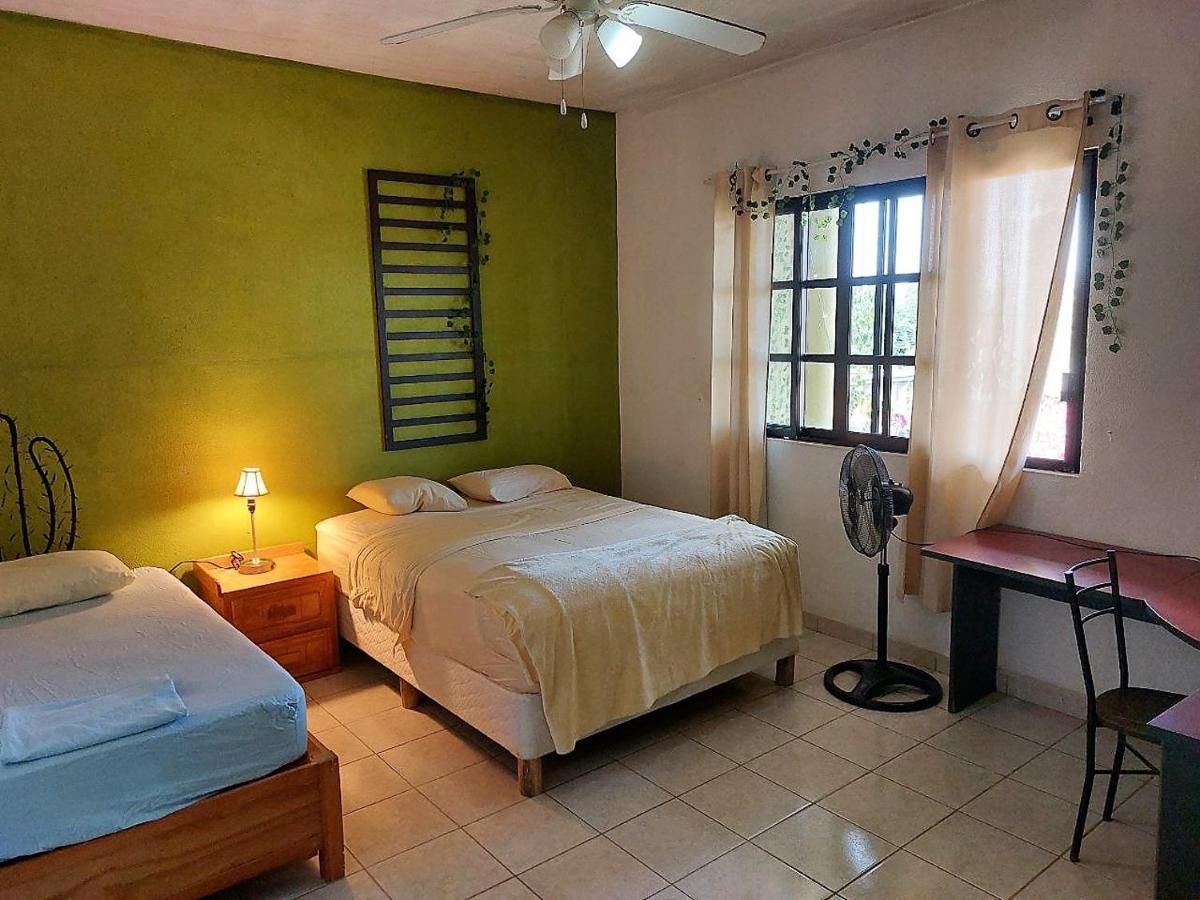Cho Ku Rei Hostal San José del Cabo エクステリア 写真