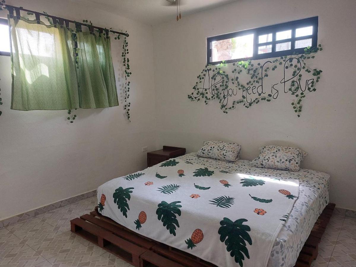 Cho Ku Rei Hostal San José del Cabo エクステリア 写真